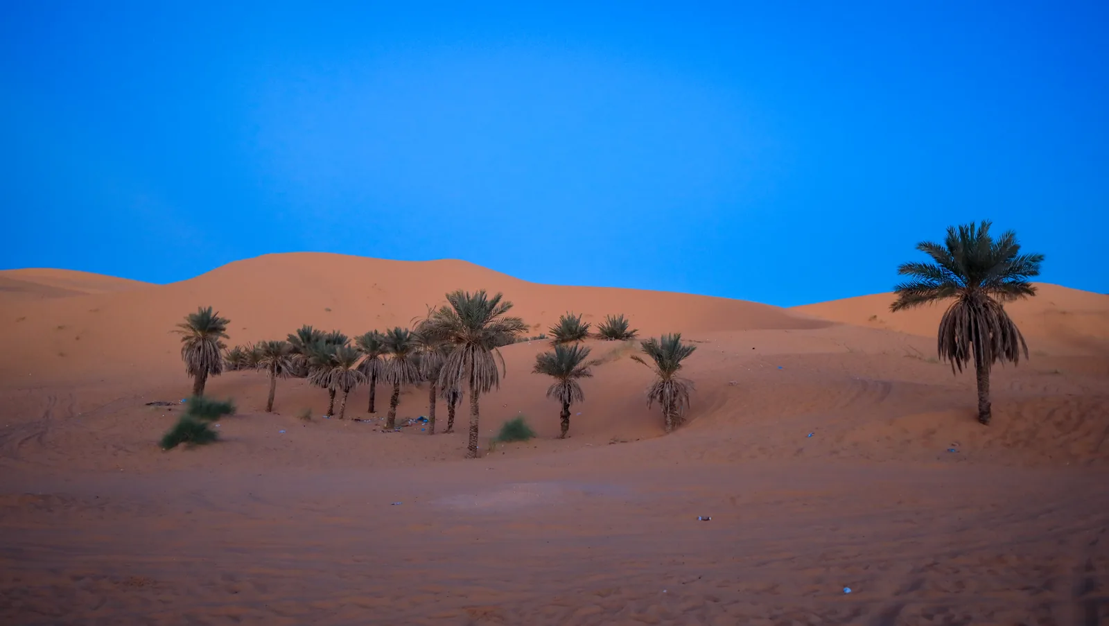 2 day errachidia to merzouga desert tour featured, Morocco
