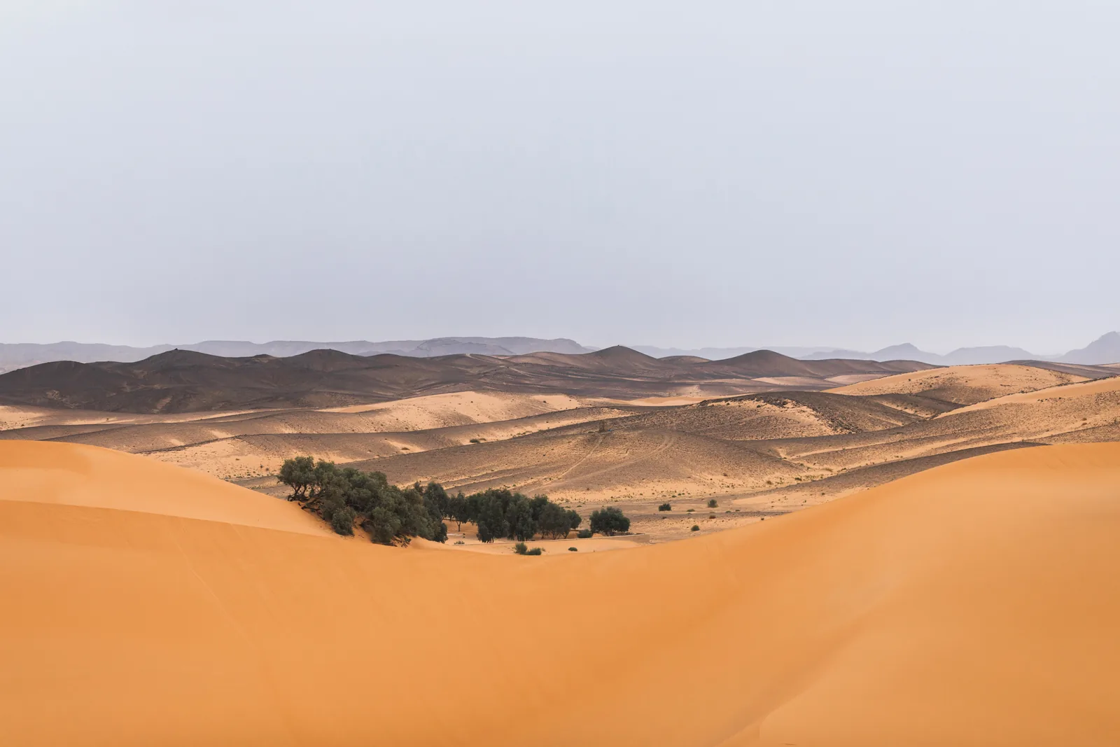 Erg Chebbi Sahara dunes on the Errachidia desert and gorges loop, Morocco