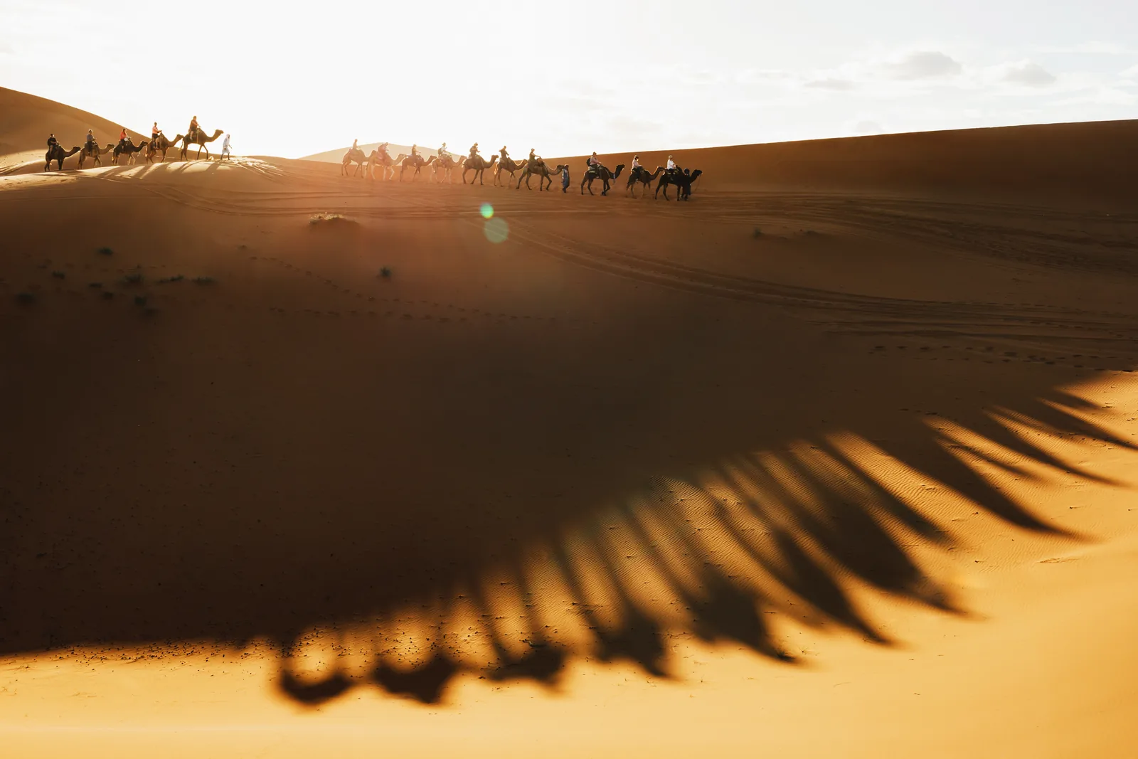 Gran Tour 6 Días De Errachidia A Marrakech ruta escénica